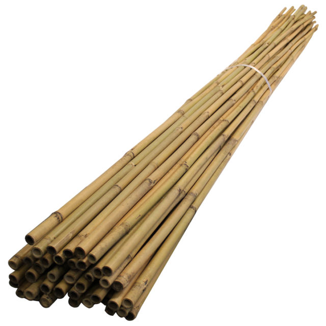 Buy Bamboo Stick - 2.5ft - 0.75m Online | Agriculture Gardening Tools | Qetaat.com